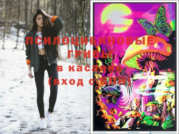 дурь Алексин